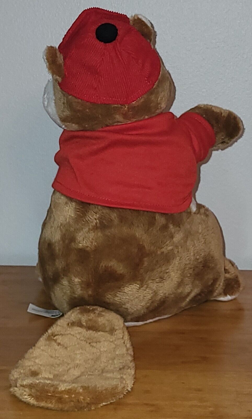 Bild 7 von 12