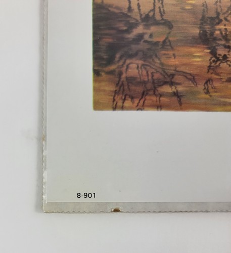 Howling Wings 8×10. 1997 Northwest publishing Corp., Orlando Fl 32809 8-901 - Picture 6 of 15