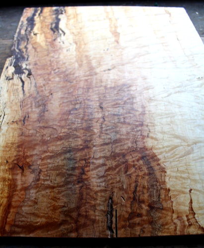 Einteiliges lockiges Spalted Ambrosia Ahorn Drop Top 0,34" thk Bassgitarre 2409 - Bild 5 von 16