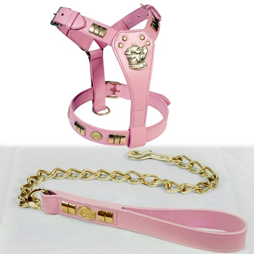 LEATHER DOG HARNESS (DOG MOTIFF) & CHAIN LEAD COMBINE SET, ALL BRASS FITTINGS - Picture 10 of 12