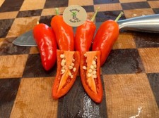 HEAVY PRODUCER: Pretty N Sweet Pepper Seeds 12-Pack 