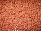 1kg dragierte frisch gebrannte rote Erdnüsse, keine gebrannten Mandeln!