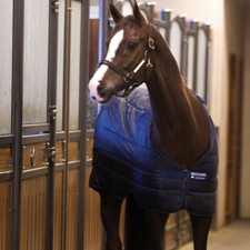 Horseware Liner 300g - Marine