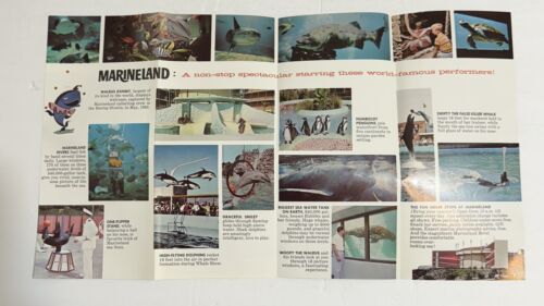 Vintage 1966 Marineland Of The Pacific Broschüre und Veranstaltungsplan Ephemera - Bild 3 von 13
