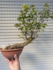 Foto 2 di 6