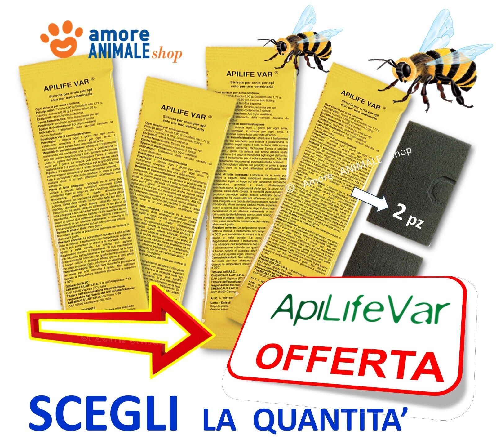 Foto 1 di 8