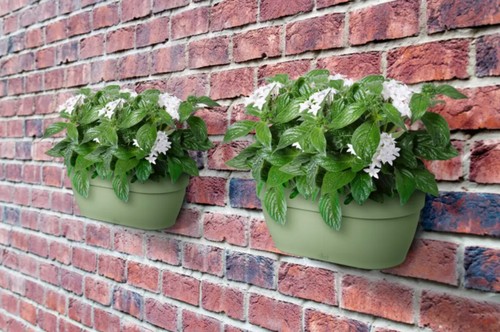 elho vibia campana Wandampel Pflanzkasten Übertopf Blumentopf 35 cm Pflanzgefäß - Bild 19 von 44