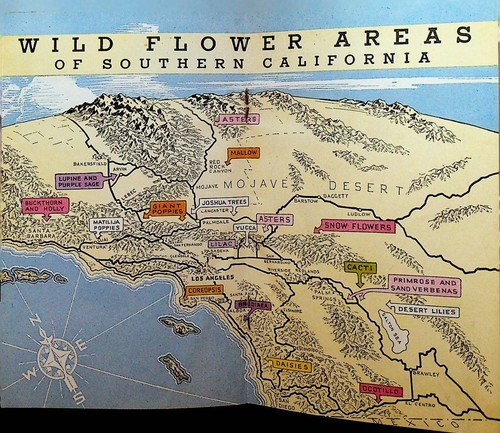 Folleto Richfield Wild Flowers of Southern California 1935 Oil Gas Company - Imagen 3 de 5
