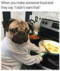 Funny Pug dog refrigerator magnet 3 1/2 X 3 1/2 "