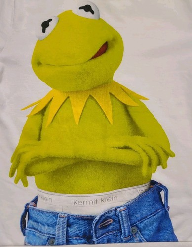 H&M The Muppets Sweatshirt Women's Medium Kermit the Frog Pullover Kermit Klein - Picture 6 of 14