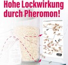Bild 4 von 6