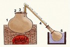 Bild 7 von 8