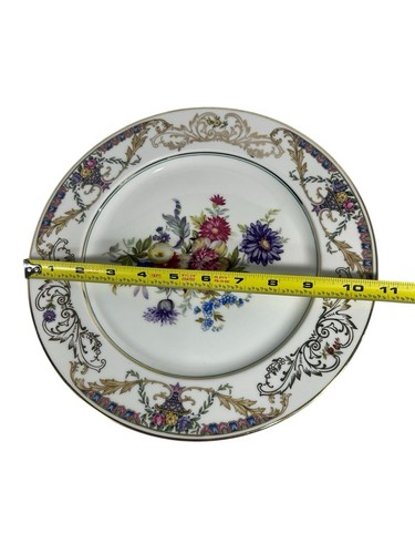 VTG Schlaggenwald Porcelain Dinner Plates Czechoslovakia SCL32 Set Of 4 ~10 7/8” - Picture 3 of 10