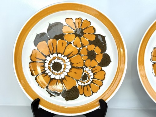 Set of 5 HARA Mediterranean Ironstone Orange Burst Dinner Plates Japan 10 3/8” - Picture 23 of 24
