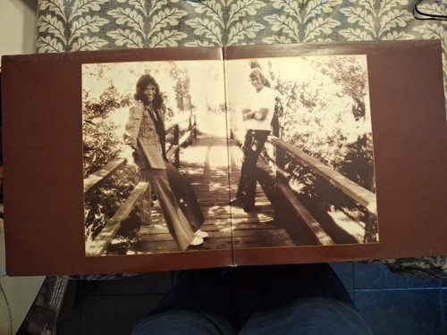 CARPENTERS "THE SINGLES 1969-1973" VINYL LP 1973 VG+ - Picture 3 of 5