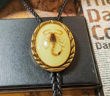 Agate Real Scorpion Handmade BOLO Tie Wedding Necklace Vintage Western Cowboy