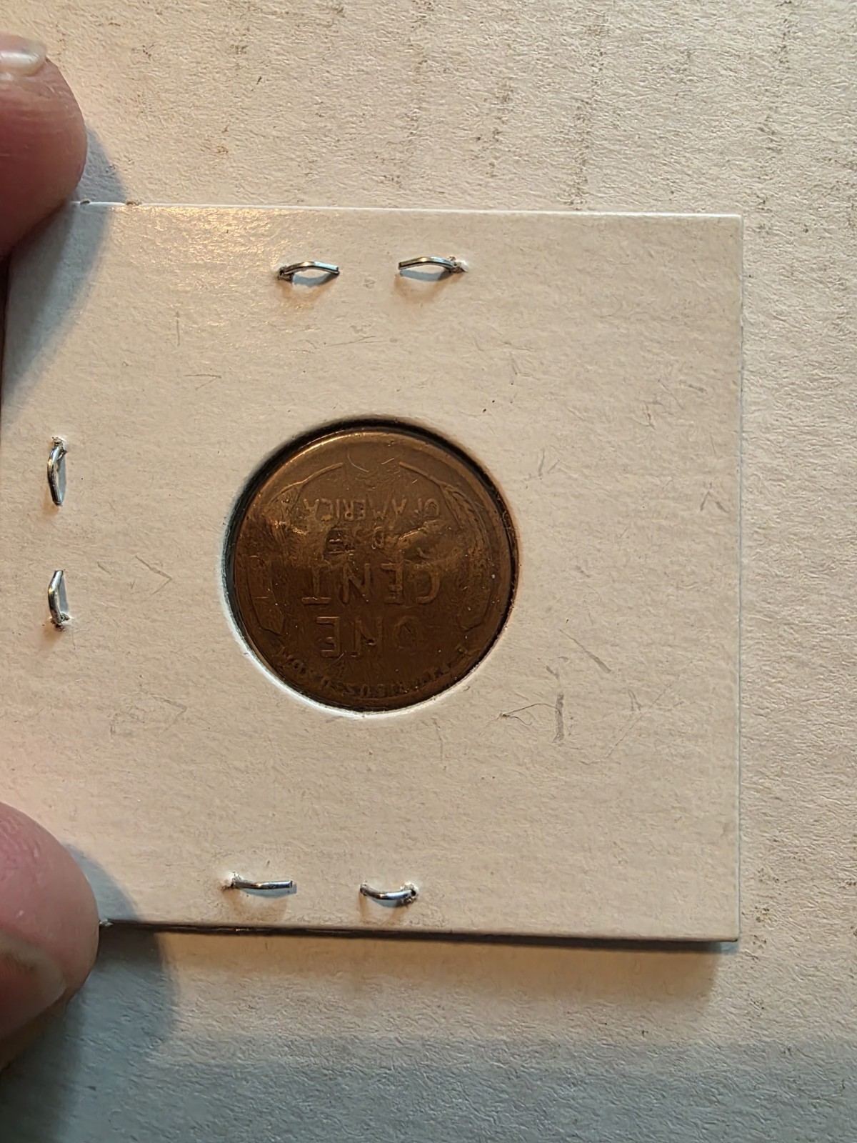 Picture 4 of 6