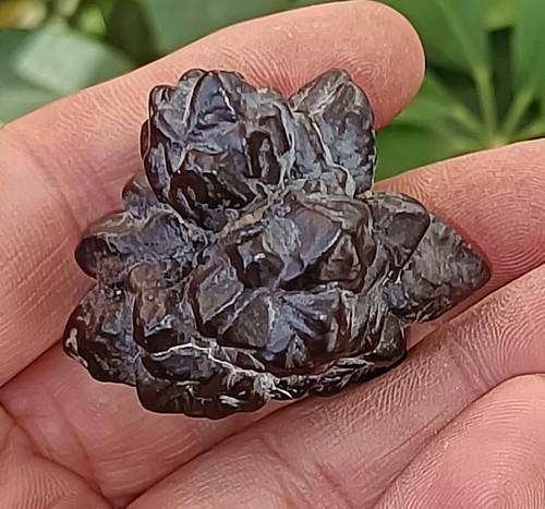 62g Natural Limonite & Hematite Pseudomorph After Marcasite - Prophecy Stone - Picture 11 of 11