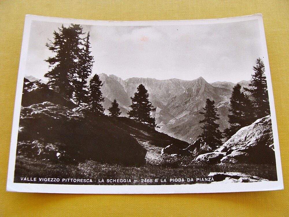 Foto 1 di 2