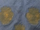 Foto 12 di 12
