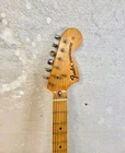 Picture 4 of 19