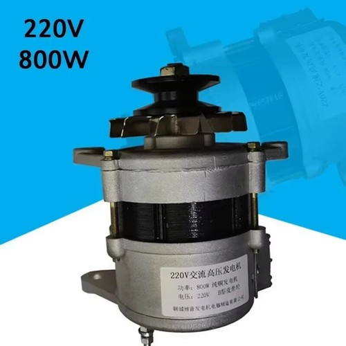 Permanentmagnet Brushless Lichtmaschine mit Spannungsregler reiner Kupferdraht - Bild 2 von 18