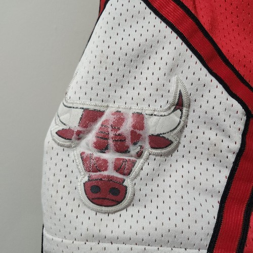 Nike Team Sports Chicago Bulls Mesh Shorts Michael Jordan Logo Faded Mens Medium - Picture 2 of 6