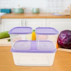 3pcs Fridge Organizers Fruit Storage Containers Produce Saver Container