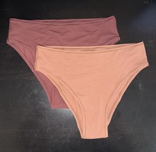 NEW  40 SKIMS FITS EVERYBODY CHEEKY BRIEFS 2 PAIRS SZ L