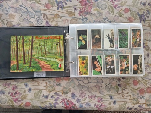6 X Brooke Bond Full Sets & Albums. - Picture 2 of 16