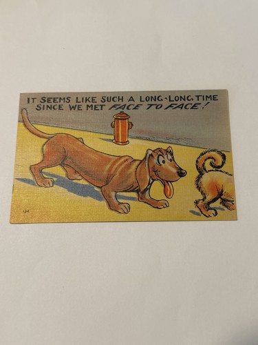 Tarjeta postal humor parece mucho tiempo desde que nos conocimos cara a cara - Imagen 1 de 2