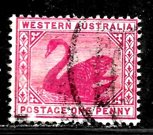 HICK GIRL - ALTER GEBRAUCHTER WESTERN AUSTRALIEN SC#73 SCHWAN, WMK. 83 X5380