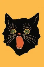 Black Cat Poster Print