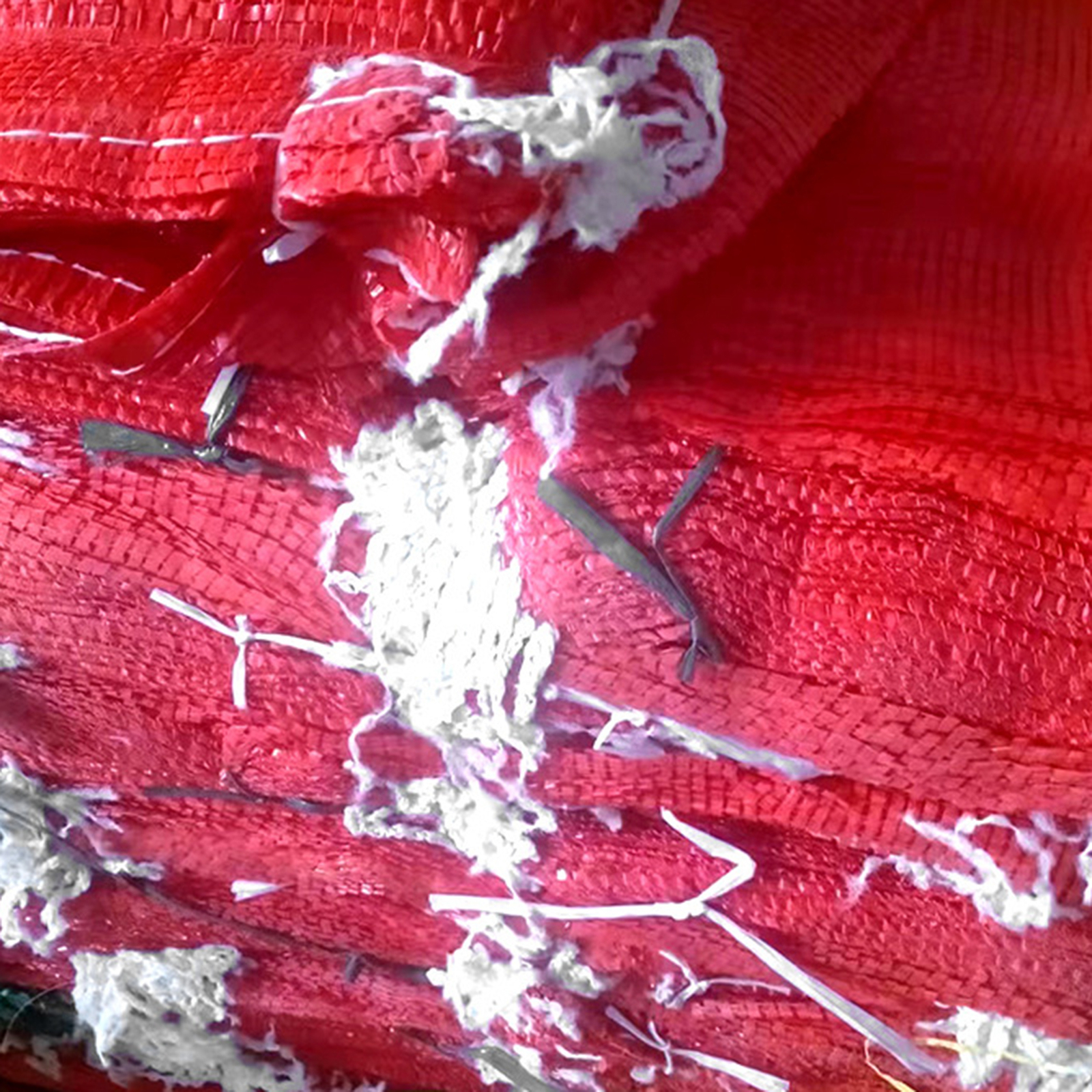Imagen 14 de 18