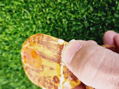 Vintage Thanksgiving Türkei Keramik glasierte Keramik Serviettenring Halter 4er Set - Bild 9 von 9