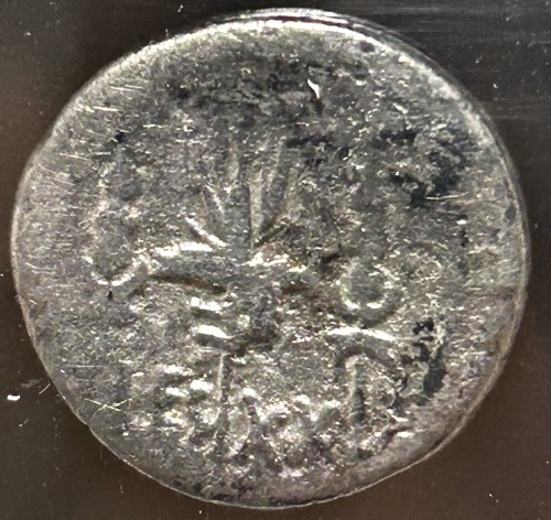 Marco Antonio Legionario AR Denario 32-31 a.C. LEG XX NGC G - Foto 4 di 4