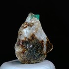 Picture 6 of 6