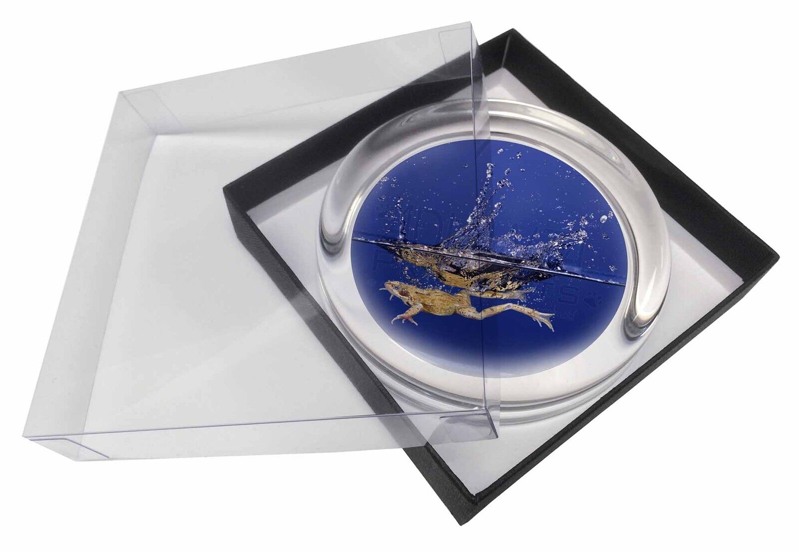AR-A6GC Diving Frog Black Rim Glass Coaster Animal Breed Gift