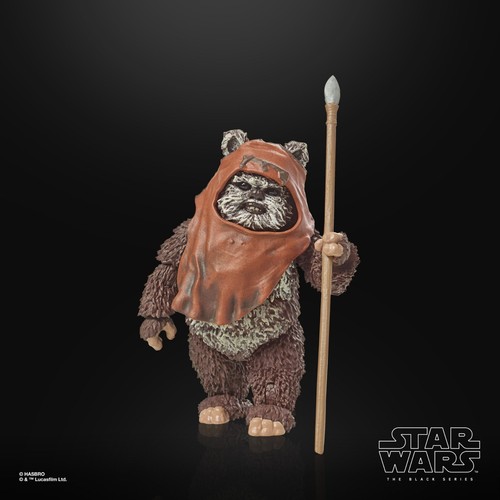 Black Series - 40th Anniversary ROTJ 2023 Wave 1: Wicket (Ewok) - auf Lager!!! - Bild 2 von 9