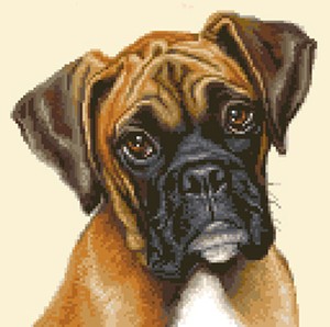 Boxer Puppy Dog Complete Counted Cross Stitch Sewing Kit Jann Designs Ebay