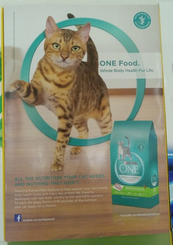 National Geographic Jul–Dec 2015 | 6 VG+ Issues | Leatherette Slipcase - Picture 12 of 16