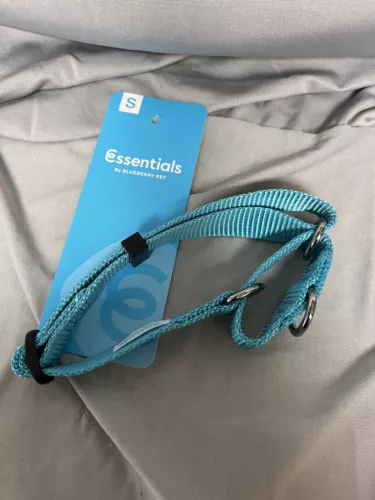Blueberry Pets Essentials Mint Blue Size S Safety Training Dog Collar Heavy Duty