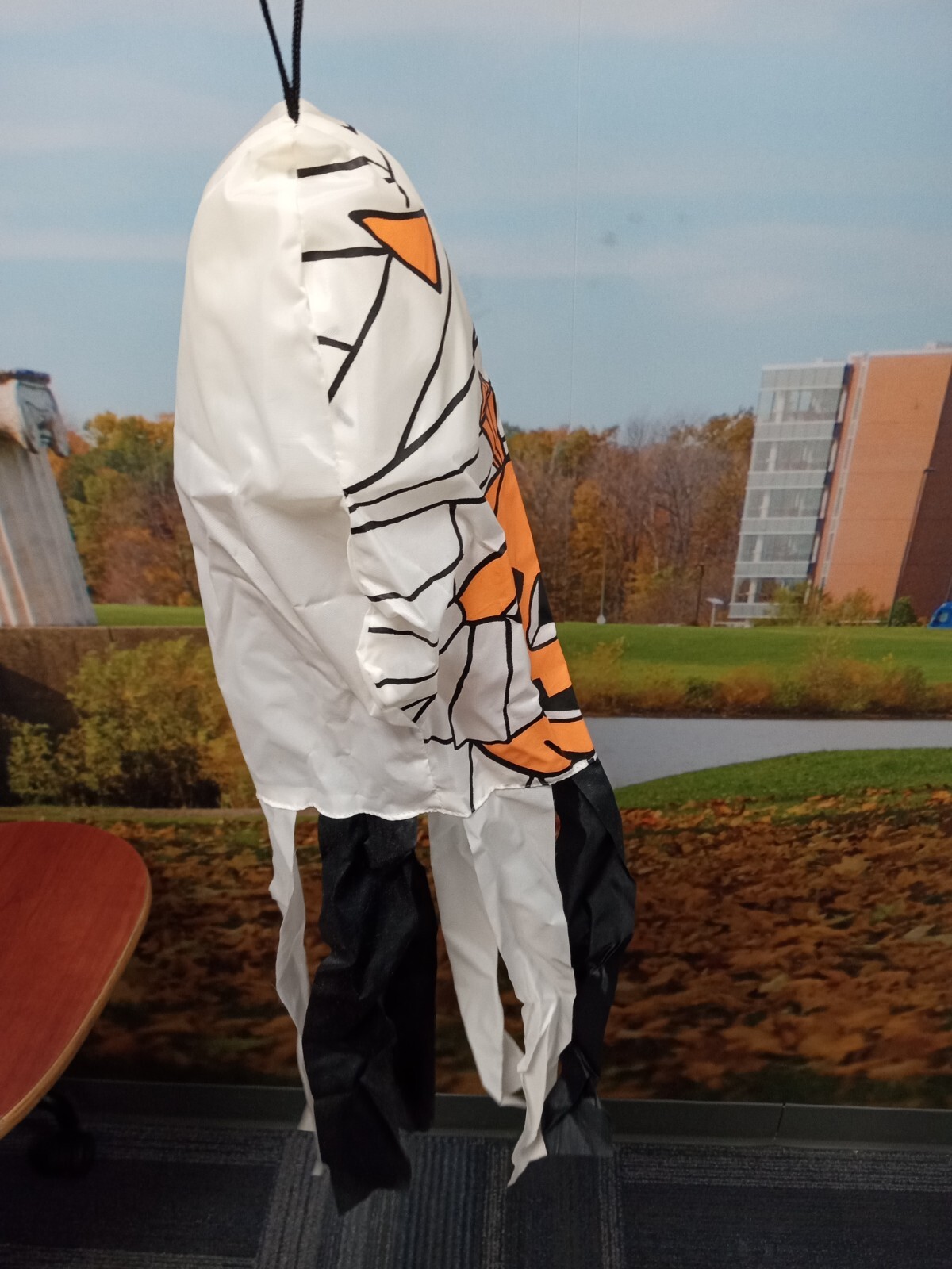 Bild 4 von 14