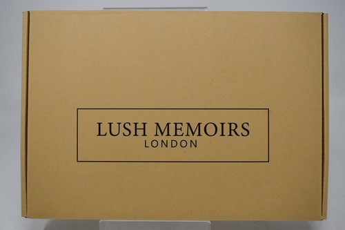Lush Memoirs London ''Unsere Hochzeit'' Videoalbum - NEU - Bild 2 von 5
