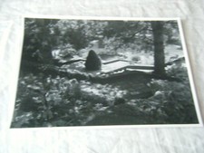 Black & White Art Photo, Path & Stairs Through Shaded Garden