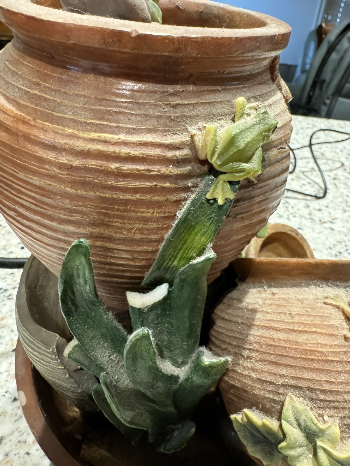 Picture 5 of 5