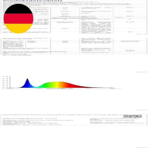 Bild 8 von 12
