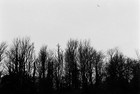 Picture 11 of 11