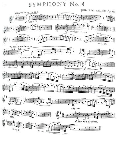 Orchestral Excerpts from the Symphonic Repertoire for Clarinet, Volume 2 - Picture 5 of 6