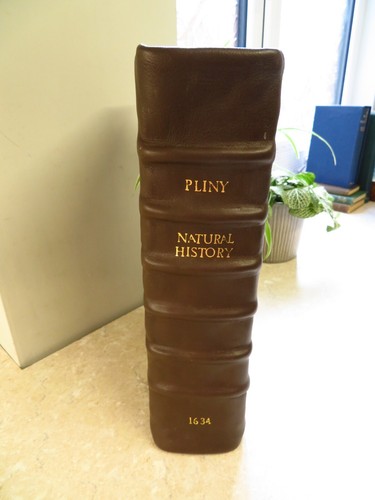 1634 PLINY the ELDER - NATURAL HISTORY 2 VOLS Histoire Naturale Pub ADAM ISLIP - Picture 12 of 12